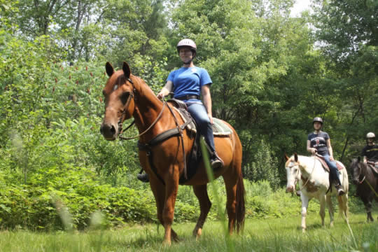 Jungle Spa Adventure Horseback Tour in Jaco