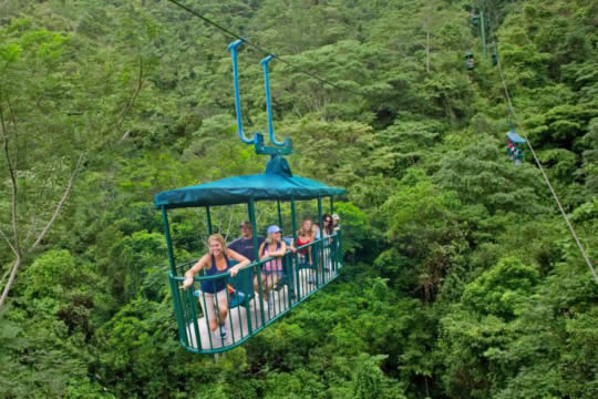 Pacific Rainforest Tranopy Tour in Jaco