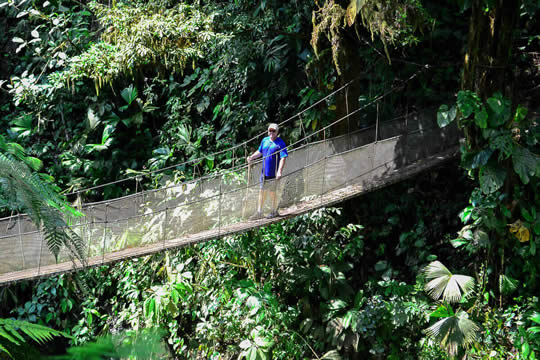 Rainmaker Park Tour in Jaco