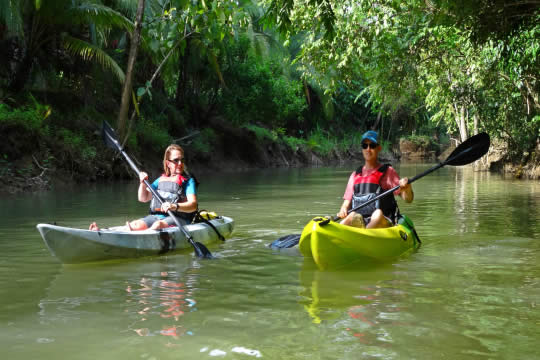 Mangrove Kayak Tour in Jaco